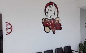 Hospital Veterinario Dogtor Pet