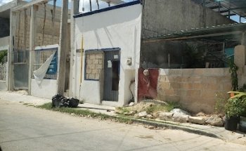 Veterinaria VETS 4 PETS Valladolid