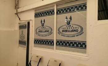 Cachorros Arellanos
