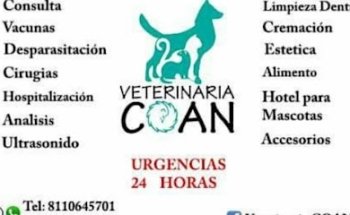 Veterinaria COAN