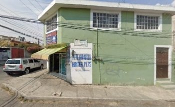 Veterinaria Hunter Pet's