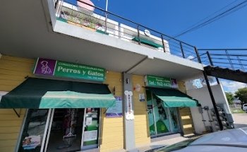Consultorio P&G especializado para perros y gatos