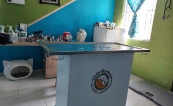 Pets Central Veterinaria|Estética canina