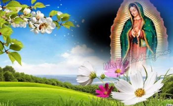 Veterinaria I. Rendón