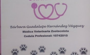 Veterinaria OhanaPets