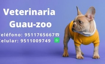 Clínica Veterinaria 