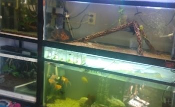 Centro Veterinaria Camila