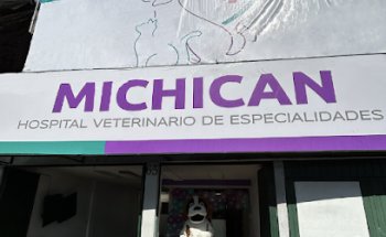 Hospital Michican