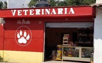 Veterinaria Santa Cecilia
