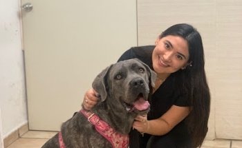 Luma Hospital Veterinario.