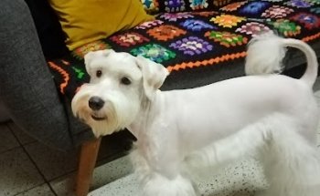 Farmacia Veterinaria SAN BERNARDO