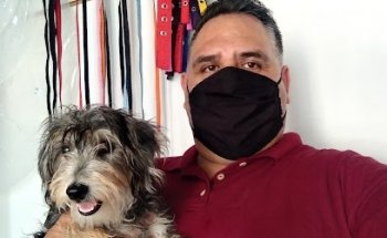 Consultorio Veterinario Dra. Laura Valdez