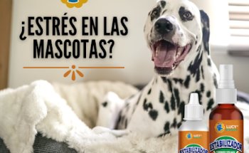 LUCY Terapia Floral Veterinaria