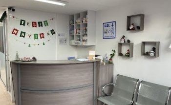 Hospital Veterinario CityVet