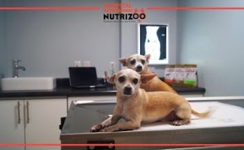 Animal feed store and veterinary hospital