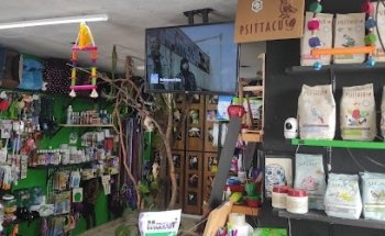 Pelos, garras y escamas