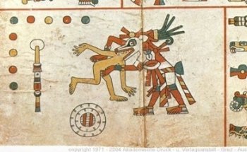 Consultorio Veterinario Xoloitzcuintli