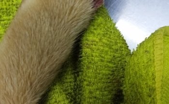 Clínica Aguilas Veterinaria