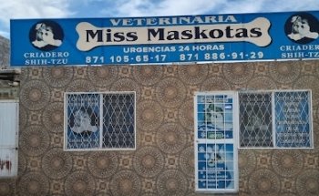 Miss Maskotas
