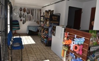 HAM CAN ESTÉTICA VETERINARIA