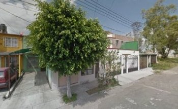 Veterinaria Kala De Celaya