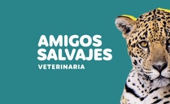 Veterinaria amigos salvajes