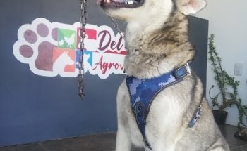 Agroveterinaria Del Valle