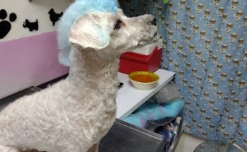 Clínica Veterinaria Vet Care