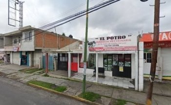 Veterinaria El Potro