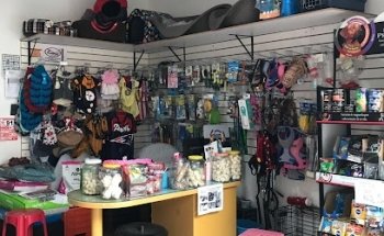 Clínica Veterinaria Easy pet