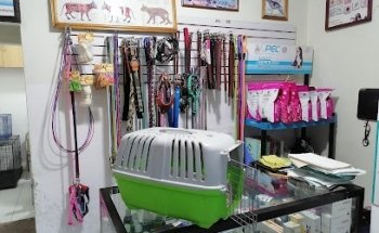 Vaterinaria Pequeñas Especies