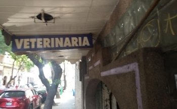 Clínica Veterinaria Perronné y Gatonné