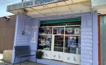 Veterinaria Dog-Show