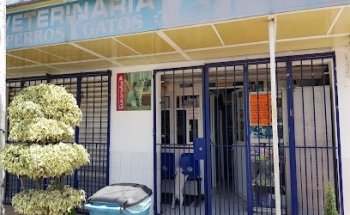 Clinica Veterinaria