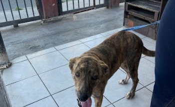 Hospital Veterinario Mundo Knino