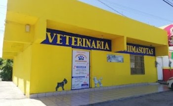 VETERINARIA MUNDIMASCOTAS