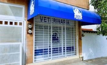 Exotic Animal Health