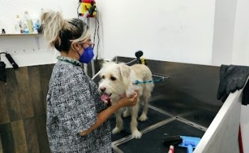 Clínica Veterinaria Sana Pets