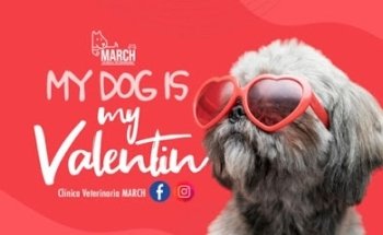 Clínica Veterinaria March