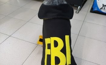 Vidavet: Unidad Medica Veterinaria