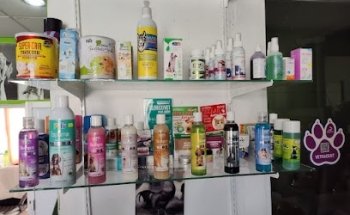 Veterinaria Green Dog