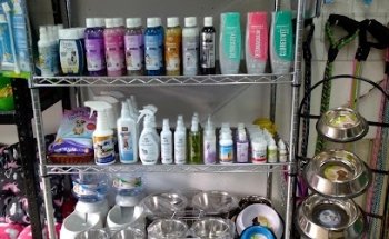 Veterinaria All-Pets