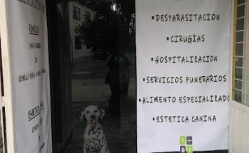 Consultorio Veterinario XhalaVet