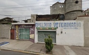 Consultorio Veterinario 