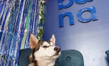 Kabana Zoo Veterinarias Suc. Zinacantepec