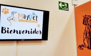 MayVet Clínica Veterinaria