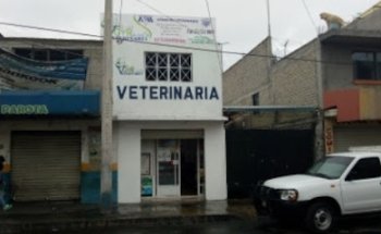 Consultorio Veterinario GyR