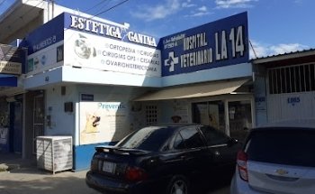Hospital veterinario la 14