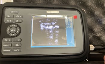 HAPPY ANIMALS VETERINARY