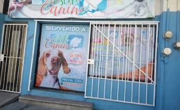Estilo canino